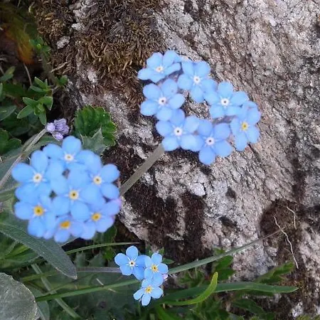 Les Jumeaux Daire Breuil-Cervinia