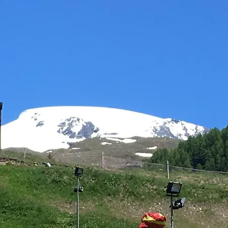 Les Jumeaux